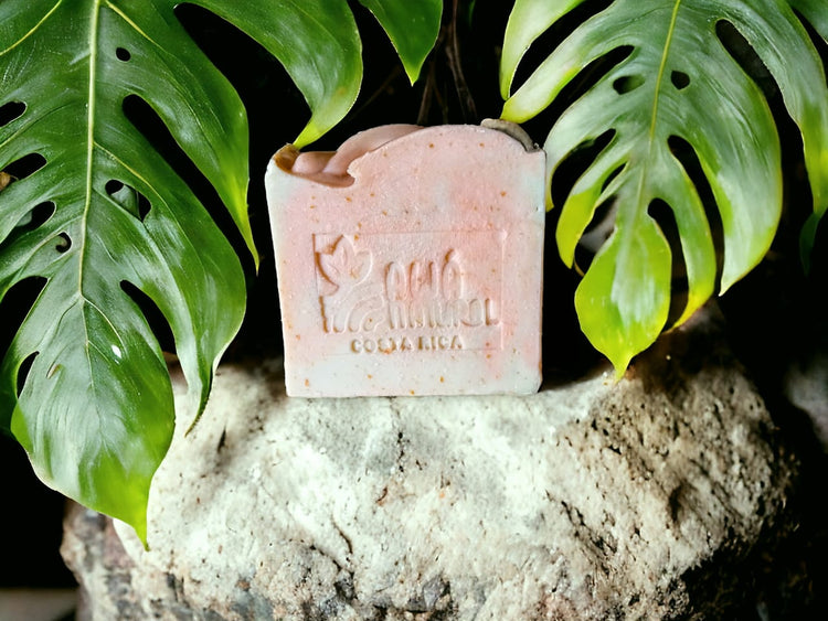 Natural Artisan Soap Bar Collection