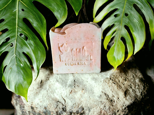 Avocado Artisan Soap