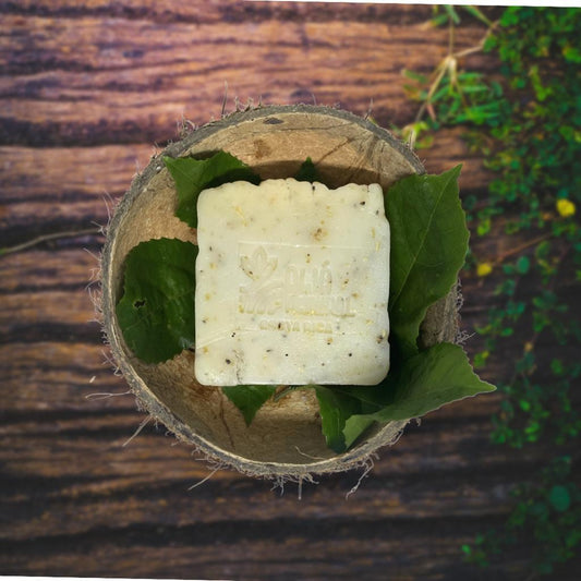 Coconut Artisan Soap