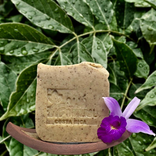 Turmeric, Cacao, and Orange Artisan Soap